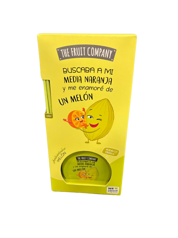 The Fruit Company Melon 40 ml